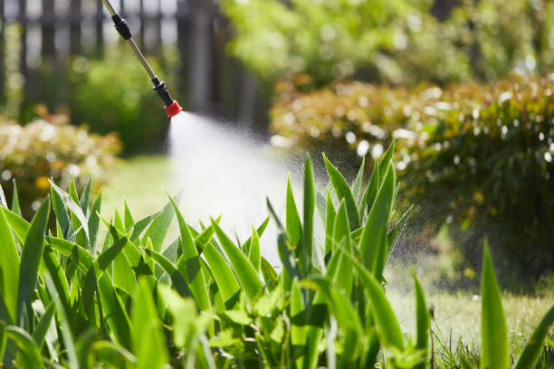 24/7 Emergency Ant Control experts in Breese, IL